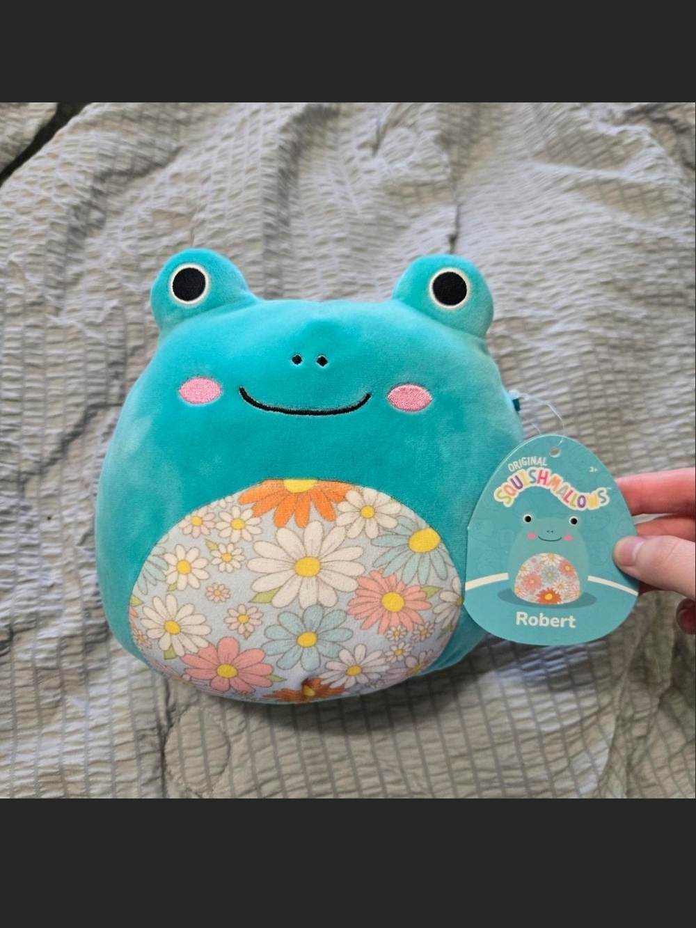 Squishmallows Teal Frog Plush with Floral Belly Patch